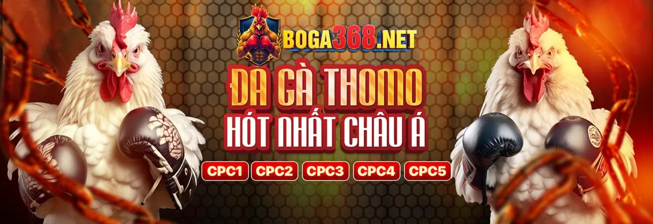 Hình ảnh giới thiệu Game Bài 123bet app