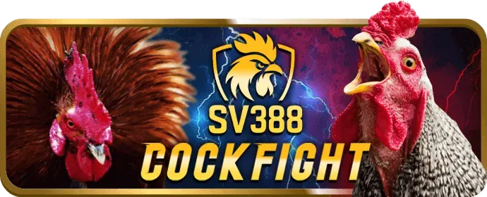 Hình ảnh minh họa các nguyên tắc GDPR và sự tuân thủ của 123bet app